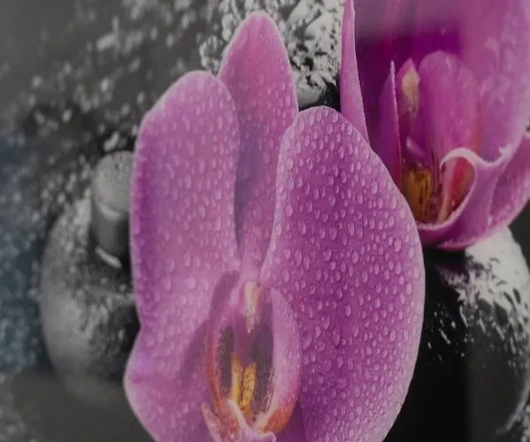 Black Diamond Vilanija