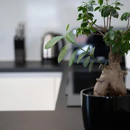 Black Diamond Vilanija